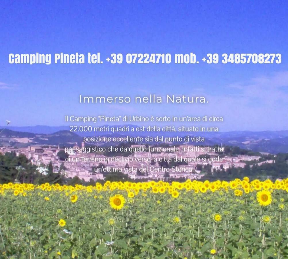 Camping Pineta Hotel Urbino Buitenkant foto